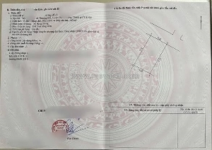 Cực đẹp 43m² đẹp tại thượng mỗ – đan phượng – ô tô đỗ cửa