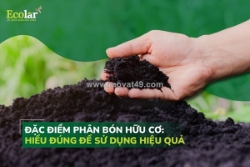 Đặc điểm phân bón hữu cơ và vai trò trong canh tác bền vững