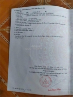 Đất đẹp - đầu tư sinh lời - bán đất xã tân định, bắc tân uyên, bình dương