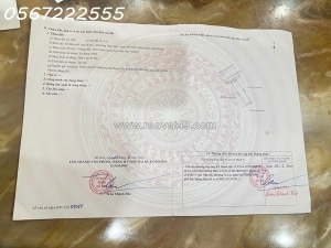 Đất đẹp gần mặt đường phạm văn đồng – chợ quý kim, hợp đức – đồ sơn  giá chỉ