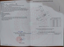 Đất đẹp - giá tốt - bán 2 lô đất tiềm năng đường số 8, phường linh trung, thủ