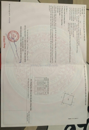 Đất đẹp - giá tốt - bán gấp lô đất tiềm năng tại xã tân xuân, hóc môn, hồ chí