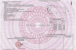 Đất đẹp - giá tốt - bán lô đất tiềm năng đường số 5, cam thành bắc, cam lâm,