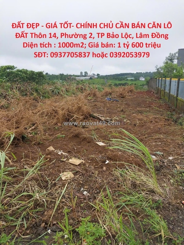 ~/Img/2025/11/dat-dep-gia-tot-chinh-chu-can-ban-can-lo-dat-thon-14-phuong-2-tp-bao-loc-01.jpg