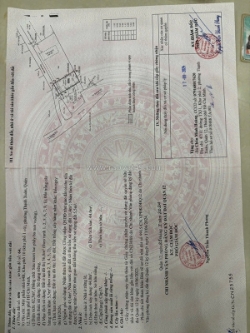 Đất giá rẻ thạnh xuân 13 – 5.7x11m – sổ riêng – gần picity – bán đất tặng nhà