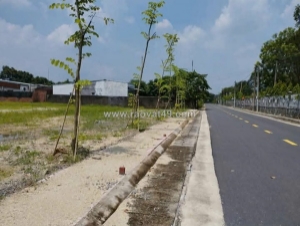 Đất nền phước hòa – phú mỹ  cơ hội f0 cuối cùng

📏 144m² – vị trí đẹp
⚓ sát