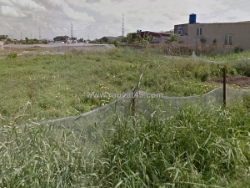 Đất nở hậu shr hxt 2319m2 – đông thạnh 2 quận 12 s