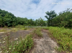 Đất ruộng nam hồng. 2800m2, mt~30m, xe container, 3.1 tỷ. đông anh.