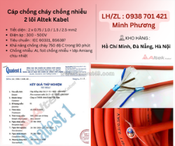 Dây cáp chống cháy chống nhiễu 2 lõi altek kabel đà nẵng, bình dương, hải phòng