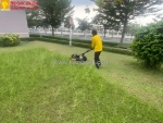 Dịch vụ cắt cỏ định kỳ – tiết kiệm , chất lượng cao