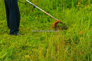 Dịch vụ cắt cỏ khu công nghiệp long đức – cảnh quan đại phát