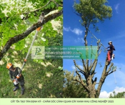 Dịch vụ chăm sóc cảnh quan kcn lộc an bình sơn trọn gói - giá ưu đãi dpl