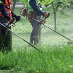 Dịch vụ chăm sóc thảm cỏ khu công nghiệp an phước – duy trì mảng xanh bền vững