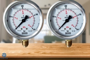 Đồng hồ áp suất wika 213.53 – chính xác, chịu tải tốt, giải pháp cho mọi hệ thống công nghiệp tại dantek