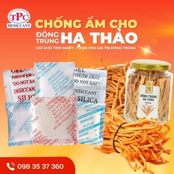 ~/Img/2025/11/dong-trung-ha-thao-kho-chong-moc-hieu-qua-voi-hut-am-thinh-phong-01.jpg