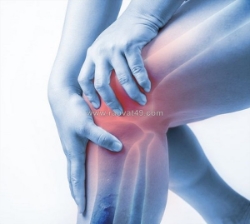 Forest mountain farms cbd gummies shocking user feedback ! does it really work or not ?