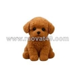 Froplay: your child’s smart puppy friend