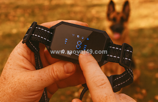 ~/Img/2025/11/furthrive-gps-collar-buy-online-01.png