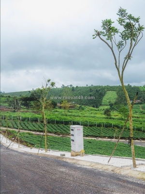 Giá tốt hôm nay! đất full thổ cư – hồ ngọc – chỉ 1,29 tỷ