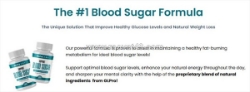 Gl pro blood sugar support - benefits, 