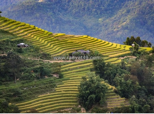 ~/Img/2025/11/ha-giang-cao-bang-adventure-northern-vietnams-scenic-highlights-02.jpg