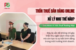 Hỗ trợ xử lý trốn thuế khi kinh doanh online – an toàn, nhanh chóng