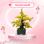 Hoa kẽm nhung món quà handmade độc đáo và tinh tế