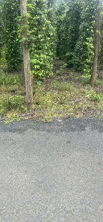 Hot !siêu phẩm 🌿đất đẹp 
 - vị trí đắc địa tại : hòa hội -  xuyên mộc-  bà