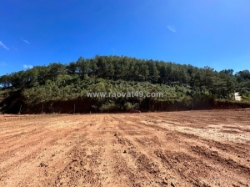 Hot !!! sở hữu ngay 3 lô đất đẹp sát nhau - giá tốt - vị trí đắc địa tại