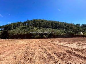 Hot !!! sở hữu ngay 3 lô đất đẹp sát nhau - giá tốt - vị trí đắc địa tại