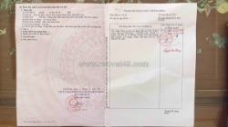 Lô đất đẹp- giá tốt chính chủ cần bán nhanh lô đất tiềm năng tại trung tâm