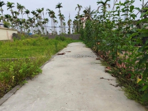 Lô nhỏ 44m² giá hiếm hoà nghĩa – gần đường 4 làn, thanh khoản cực nhanh  zalo