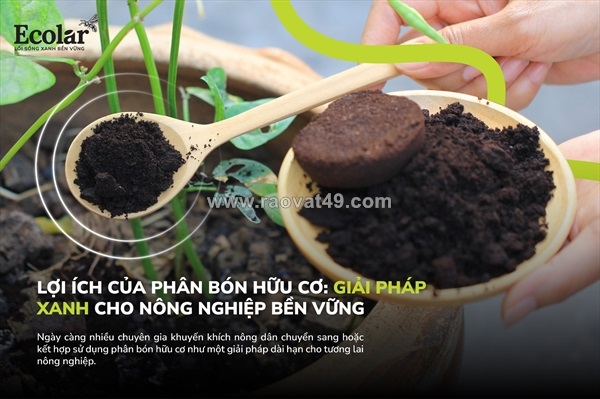 ~/Img/2025/11/loi-ich-cua-phan-bon-huu-co-giai-phap-ben-vung-cho-dat-va-cay-trong-tai-viet-nam-01.jpg