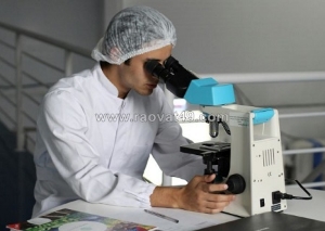 Lời khuyên của chuyên gia nên mua kính hiển vi 1 mắt hay 2 mắt