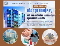 Lớp nghiệp vụ bất động sản