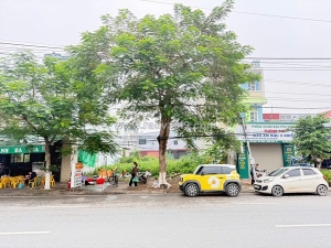 Mặt đường phạm văn đồng – lô đất 520m² giá hiếm chỉ 4xtr/m², kinh doanh cực