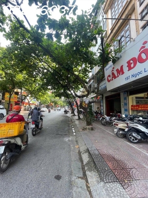 Mặt phố ngọc lâm 56.4m² – mt 3.9m – 4 tầng – 21tỷ