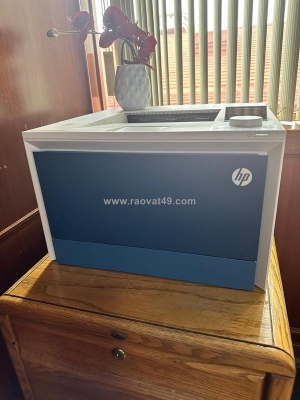 Máy in hp color pro 4203dw (5hh48a) – in nhanh ⚡ màu sắc chuẩn văn phòng!