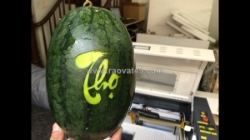 Máy khắc laser trên dưa hấu mini cho cửa hàng nông sản