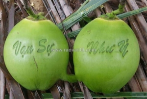 Máy laser khắc dừa – giải pháp tiết kiệm cho startup