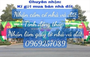 Mình cần bán gấp  lô đất khóm 16, phường mỹ ngãi ,đồng tháp( tân nghĩa , cao