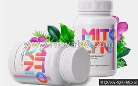 Mitolyn – advanced mitochondrial support for energy & wellness 1