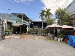 Nhà mặt tiền + xưởng shr đ.10m 1242m2 – thới tam thôn 6 hóc môn