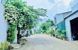 Nhánh phù đổng thiên vương, đối diện sân bay quốc tế lương khương, đức trọng, lâm đồng