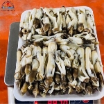 Ốc móng tay đã làm sạch