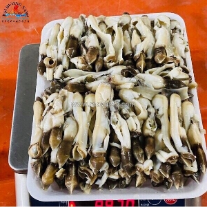 Ốc móng tay đã làm sạch