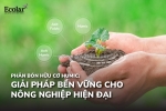 Phân bón humic: giải pháp xanh trong canh tác hiện đại