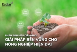 Phân bón humic: giải pháp xanh trong canh tác hiện đại