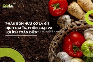 Phân bón hữu cơ: giải pháp xanh cho nông nghiệp bền vững