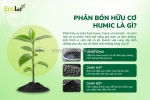 Phân bón hữu cơ humic – chìa khóa giúp đất khỏe, cây tốt, mùa vụ bền vững